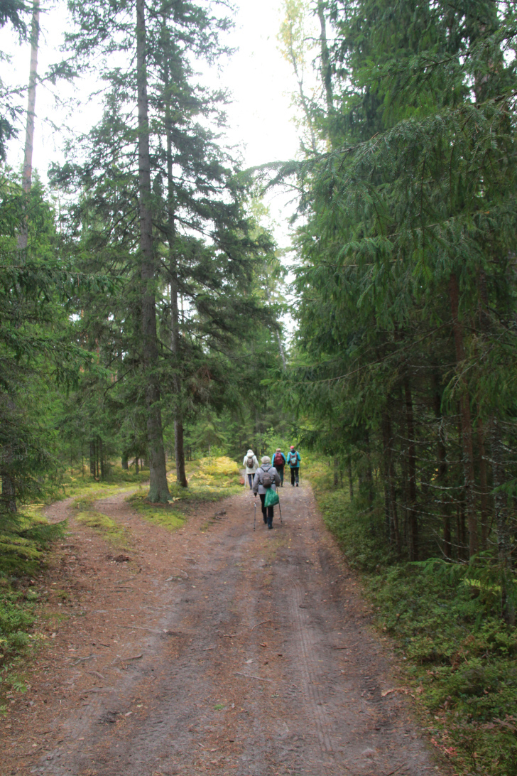 По боевым местам Высоковских партизан (фото В.Кузьмин, г.Высоковск, сентябрь, 2022)
