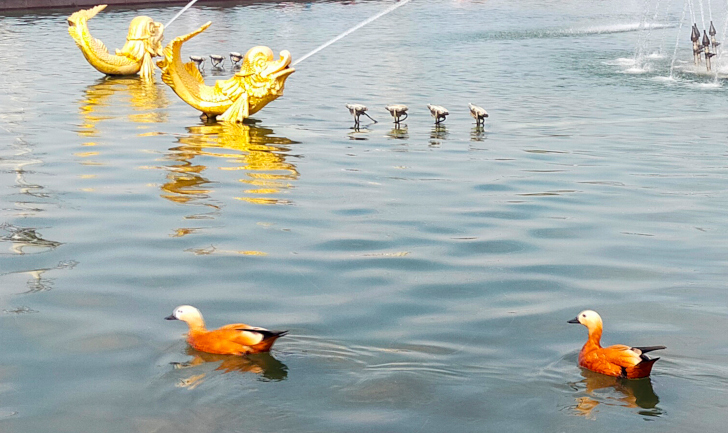 Прогулка в летний день (фото Дмитрий Кузьмин, август, 2022)