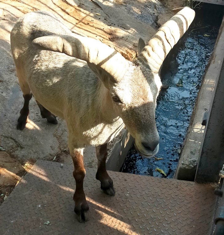 Прогулка в летний день (фото Дмитрий Кузьмин, август, 2022)