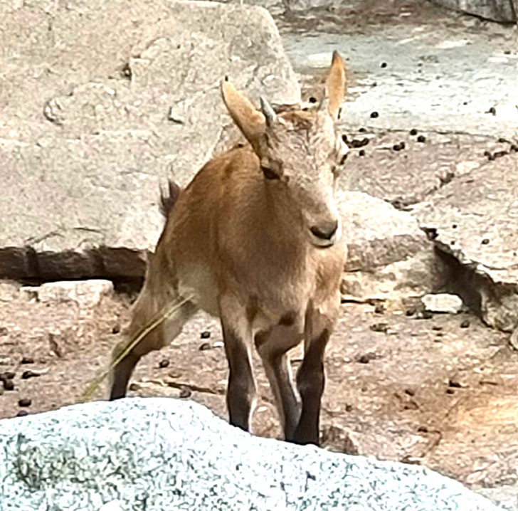 Прогулка в летний день (фото Дмитрий Кузьмин, август, 2022)