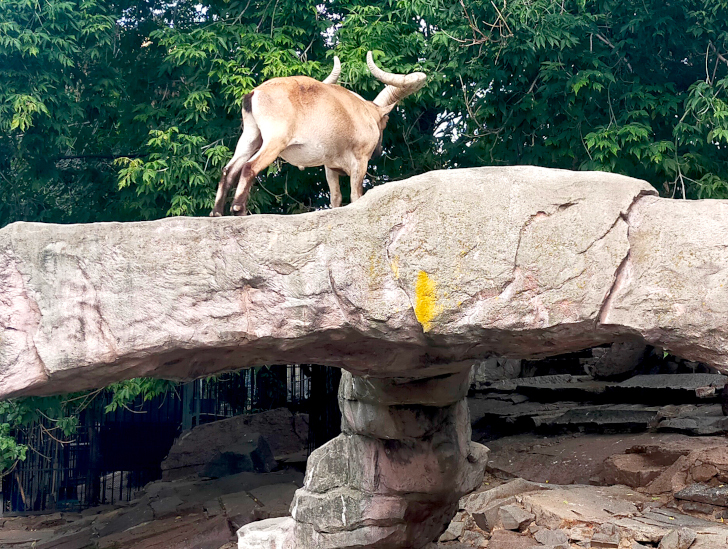 Прогулка в летний день (фото Дмитрий Кузьмин, август, 2022)