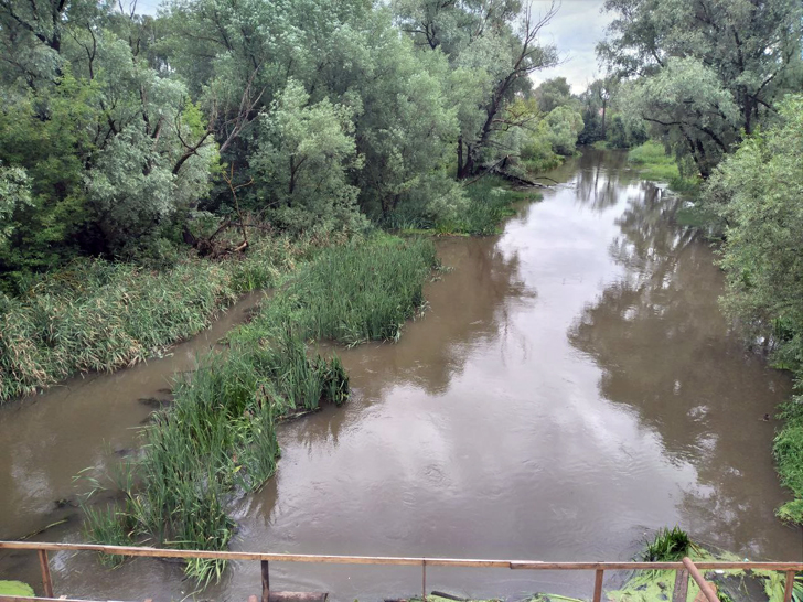 Река Сестра (на следующий день после ливня) (г.Клин, ул.Папивина, фото из архива сайта infoce-klin.ru, июль, 2023)