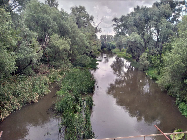 Река Сестра (через час после ливня) (г.Клин, ул.Папивина, фото из архива сайта infoce-klin.ru, июль, 2023)