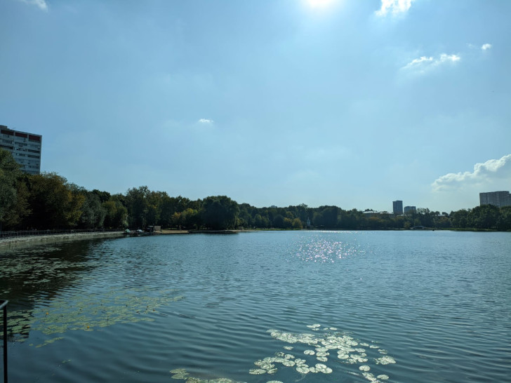 Парк Головинские пруды, г.Москва (фото Олег Д., сентябрь 2023)