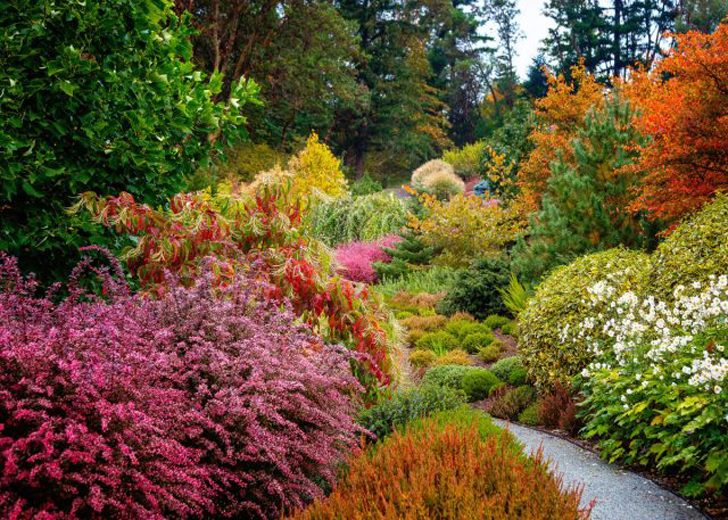 Осенний сад — одно из самых романтичных и сказочных мест. © JIM MCCAUSLAND