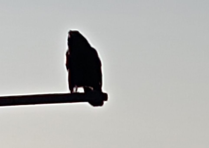 В дозоре (фото из архива В.Молодцовой)