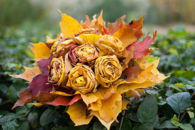 Осенний букет с листиками-розочками. © balthazar.club