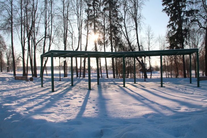 г.Клин, «Сестрорецкий» парк (фото В.Кузьмин, январь, 2023)