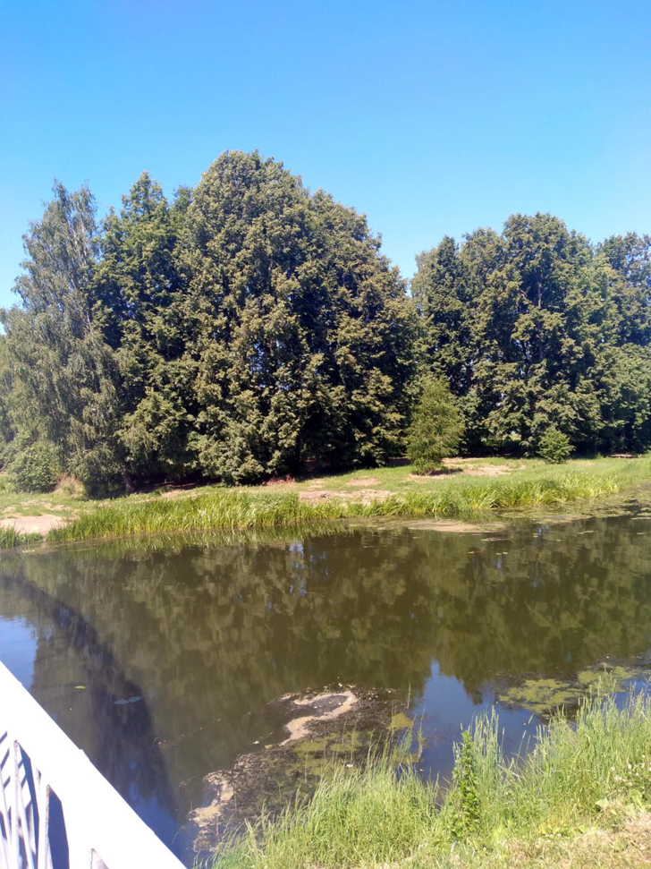 г.Клин, река Сестра (фото infoce-klin.ru, июнь 2021 года)