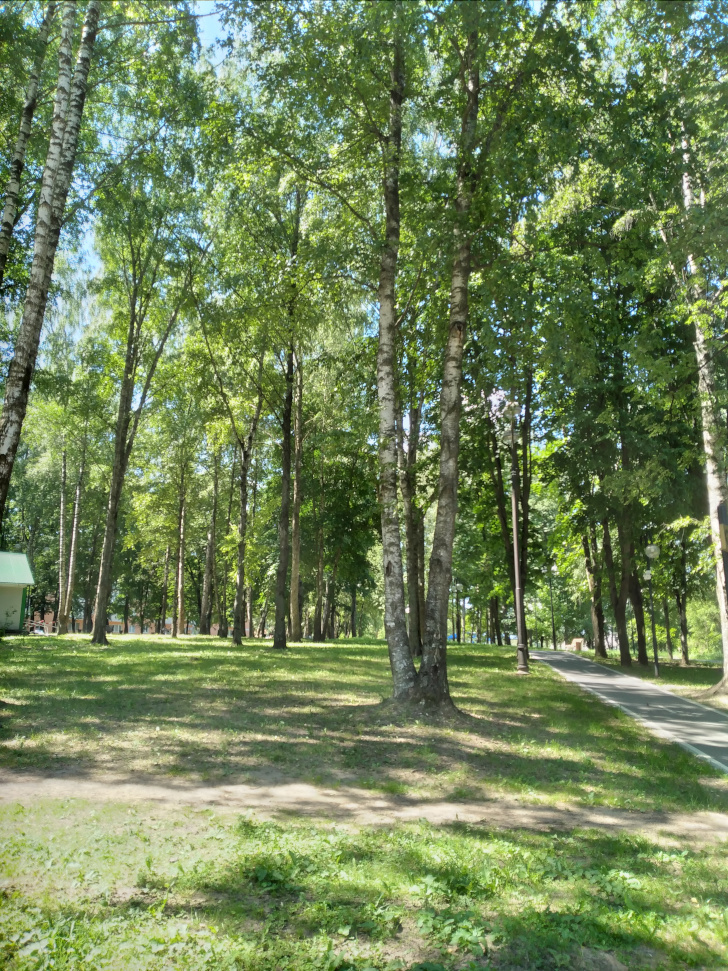 г.Клин, Сестрорецкий парк (фото из архива сайта infoce-klin.ru, июнь, 2022)
