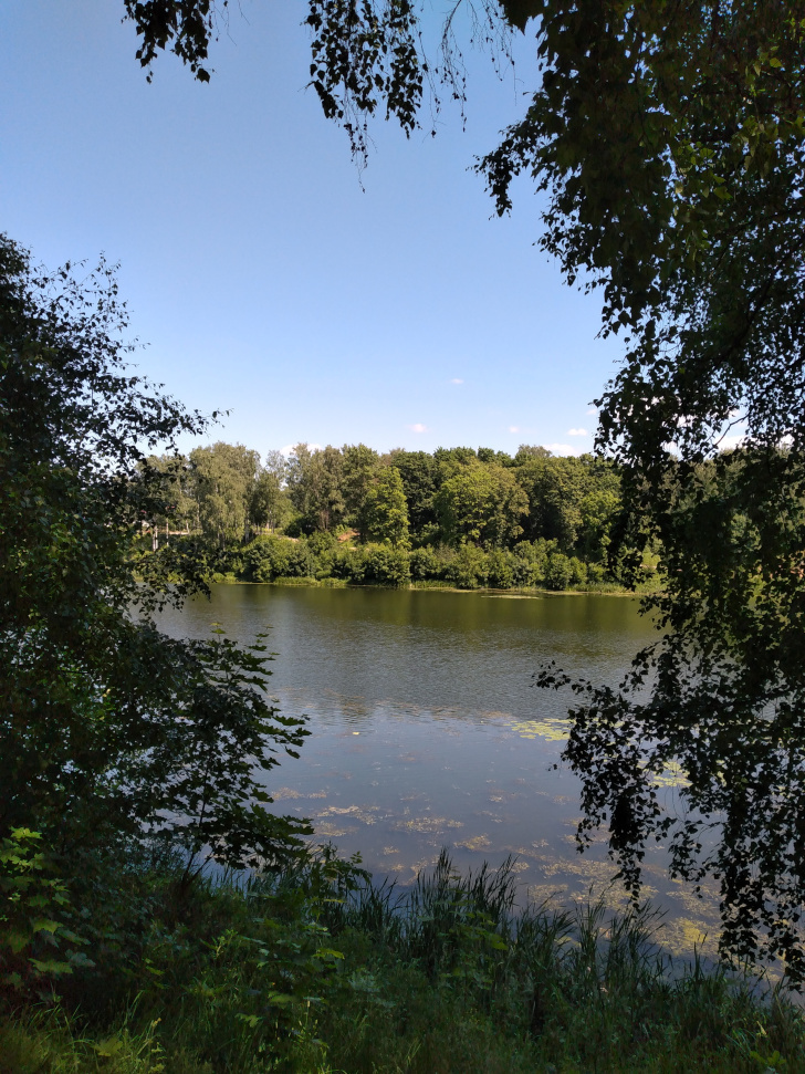 г.Клин, Сестрорецкий парк, река «Сестра» (фото из архива сайта infoce-klin.ru, июнь, 2022)