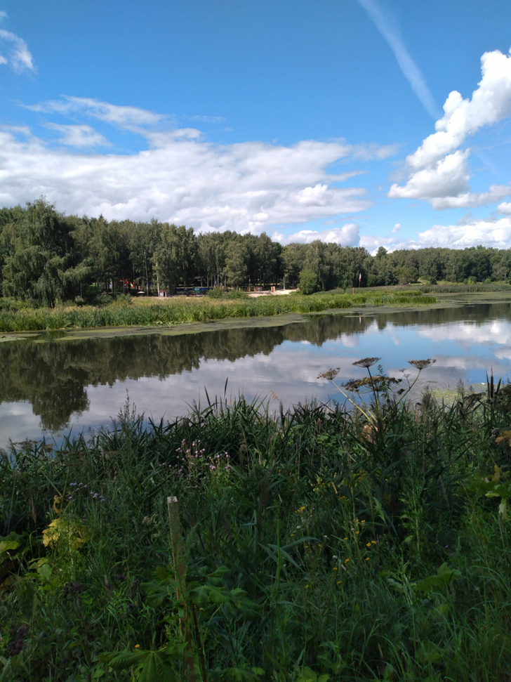 г.Клин, Сестрорецкий парк, река «Сестра» (фото из архива сайта infoce-klin.ru, июнь, 2022)