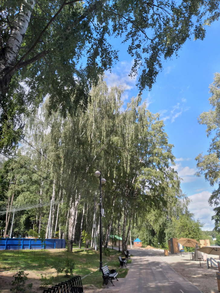 г.Клин, Сестрорецкий парк, река «Сестра» (фото из архива сайта infoce-klin.ru, июнь, 2022)