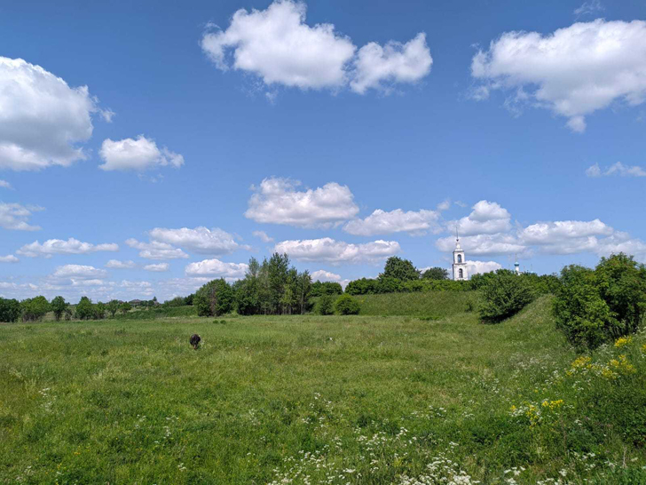 Ярославская область, Переславль-Залесский (фото Олег Д., июнь, 2022)