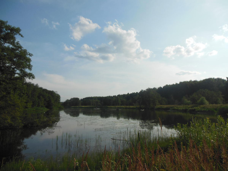 Сестрорецкий парк (фото Олег Д.)