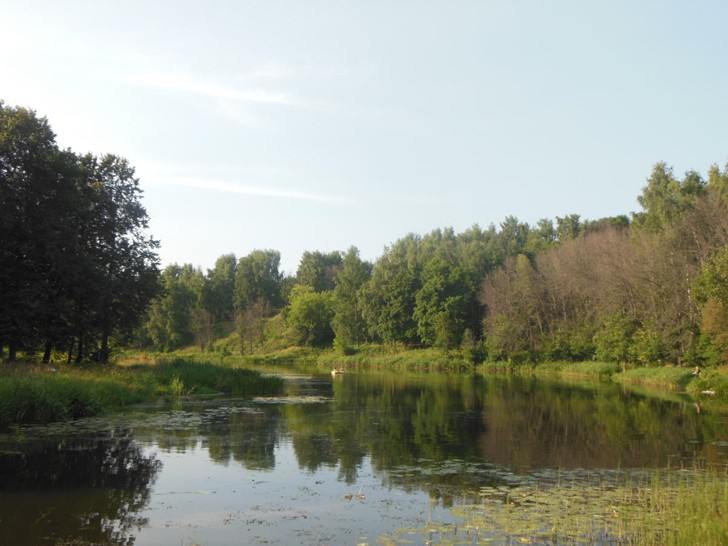 Сестрорецкий парк (фото Олег Д.)