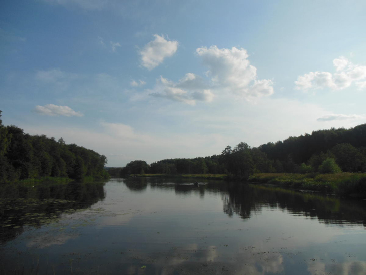 Сестрорецкий парк (фото Олег Д.)