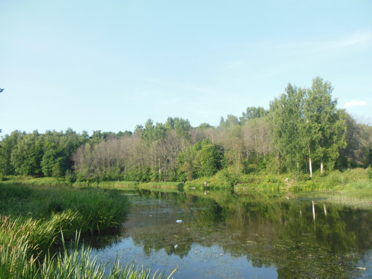 Сестрорецкий парк (фото Олег Д.)