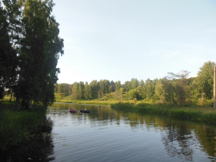 Сестрорецкий парк (фото Олег Д.)