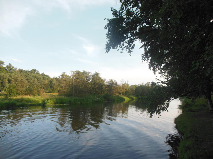 Сестрорецкий парк (фото Олег Д.)