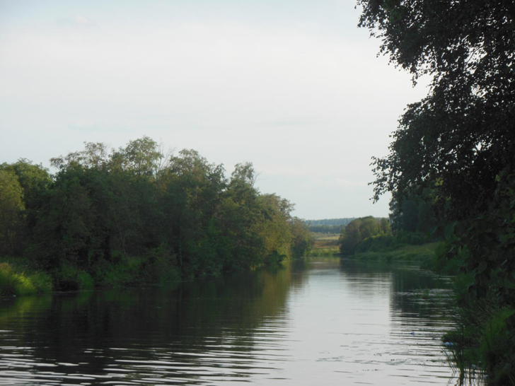 Сестрорецкий парк (фото Олег Д.)