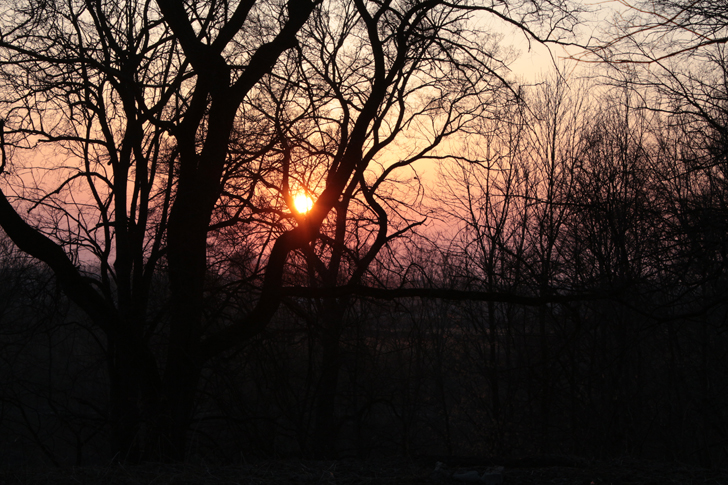 Фото из архива В.Кузьмина