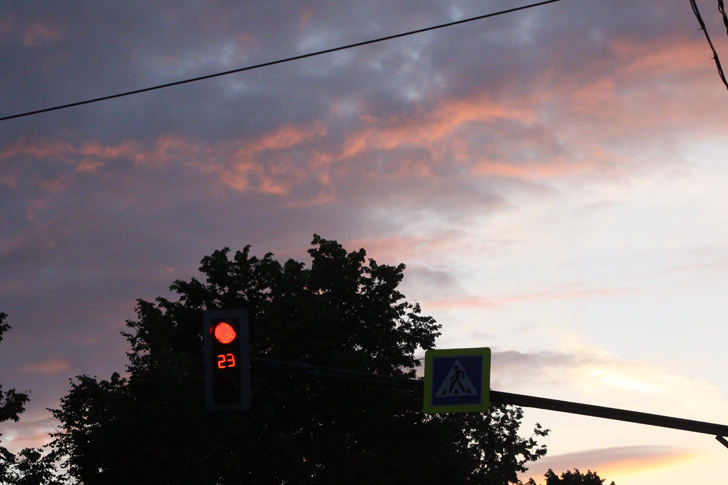 Фото из архива В.Кузьмина (июль, 2022)