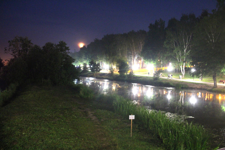 Клин, Сестрорецкий парк, фото из архива В.Кузьмина (июль, 2022)