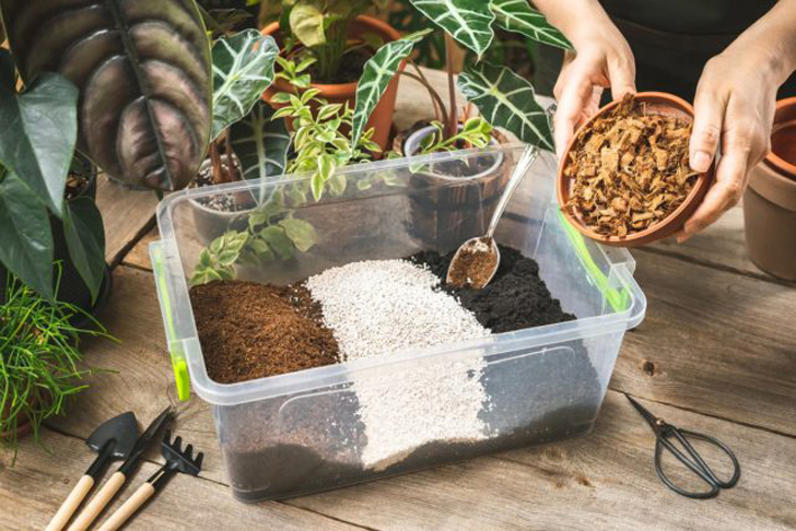 Понимая преимущества компонентов самодельных почвенных смесей, гораздо легче приступать к созданию идеальной среды для своих комнатных растений. © braidandwood