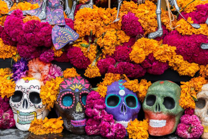 В Мексике и многих других странах Латинской Америки оранжевые бархатцы – обязательный атрибут праздника под названием «День мертвых». © peopleenespanol