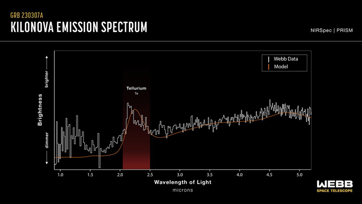 Фактические спектральные данные килоновой, связанной с GRB 230307A, наблюдаемые космическим телескопом «James Webb», в сравнении с моделью. Виден отчетливый пик в области спектра, связанной с теллуром. Credit: NASA, ESA, CSA, J. Olmsted (STScI)
