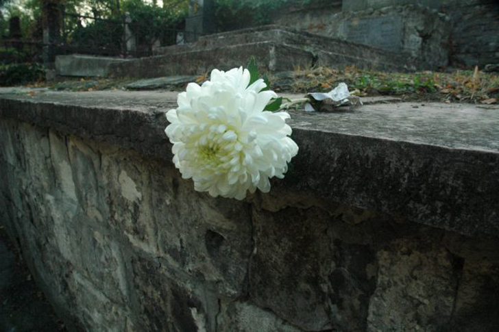 В Европе, напротив, цветки хризантемы ассоциируются со скорбью и смертью. © quitethelittleescapologist
