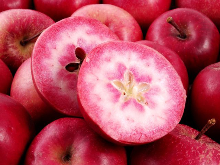 Яблоки «Ред Лав» совсем не гибриды яблони с томатом. Это сорта яблони, полученные скрещиванием нескольких сортов яблонь с яблоней Недзведского. © rungis