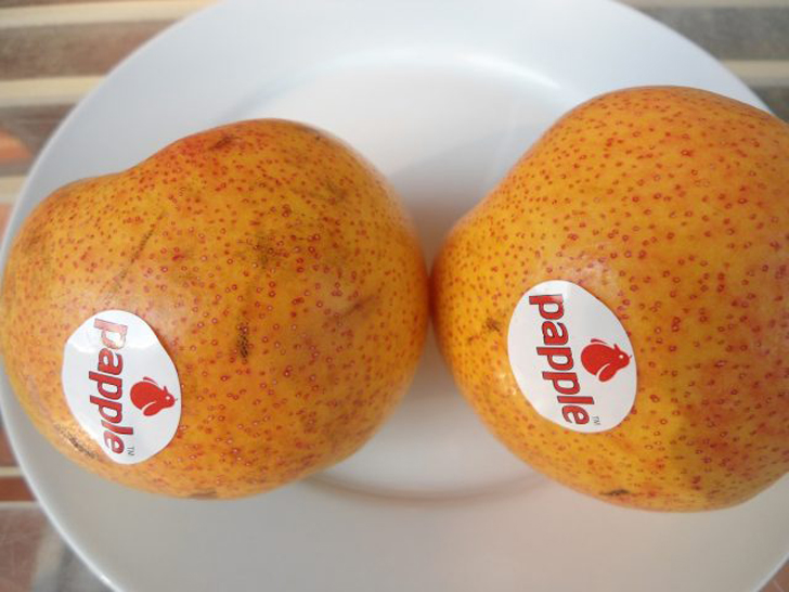 «Пэппл» (‘Papple’) тоже нередко продаётся под видом грушево-яблочного гибрида, но это сорт груши новозеландского происхождения. © daleysfruit