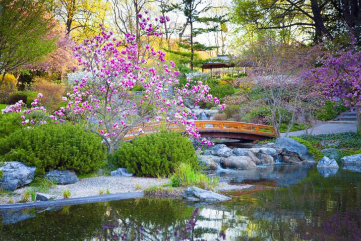 Садово-парковое искусство Японии сформировалось на стыке китайской ландшафтной архитектуры, завезенной на острова в 6 веке, и синтоистской традиции окружать священные места галечными площадками. © britannica