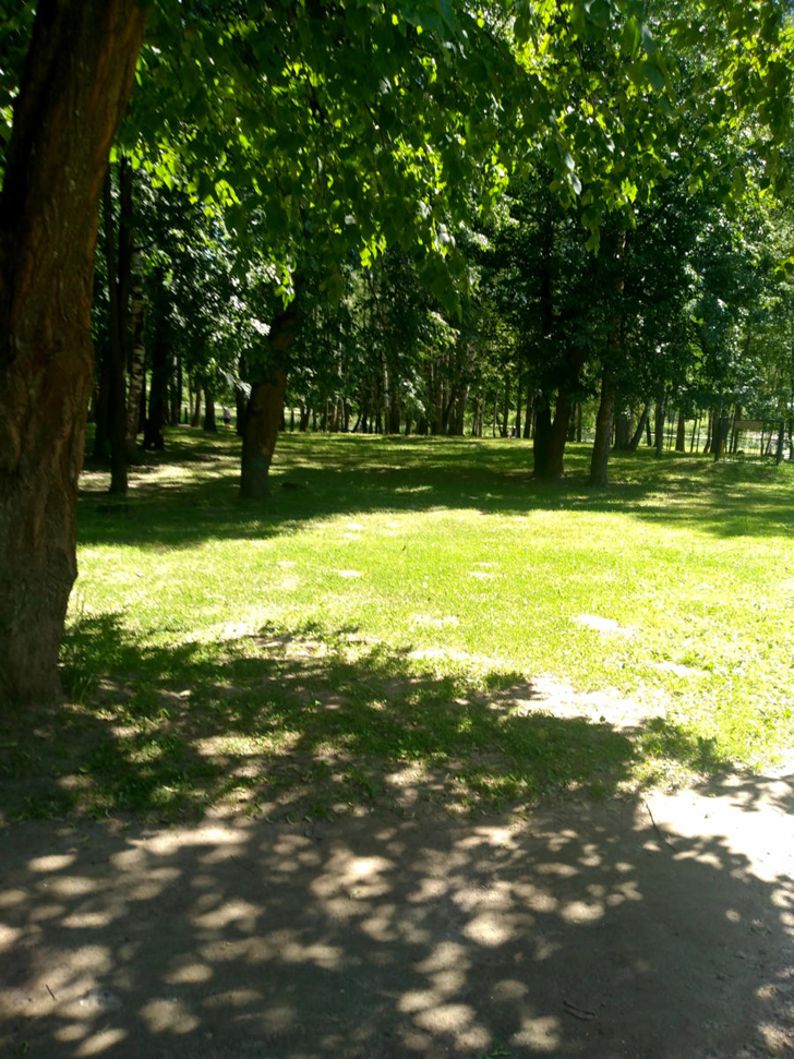 г.Клин, Сестрорецкий парк (фото infoce-klin.ru, июнь 2021 года)