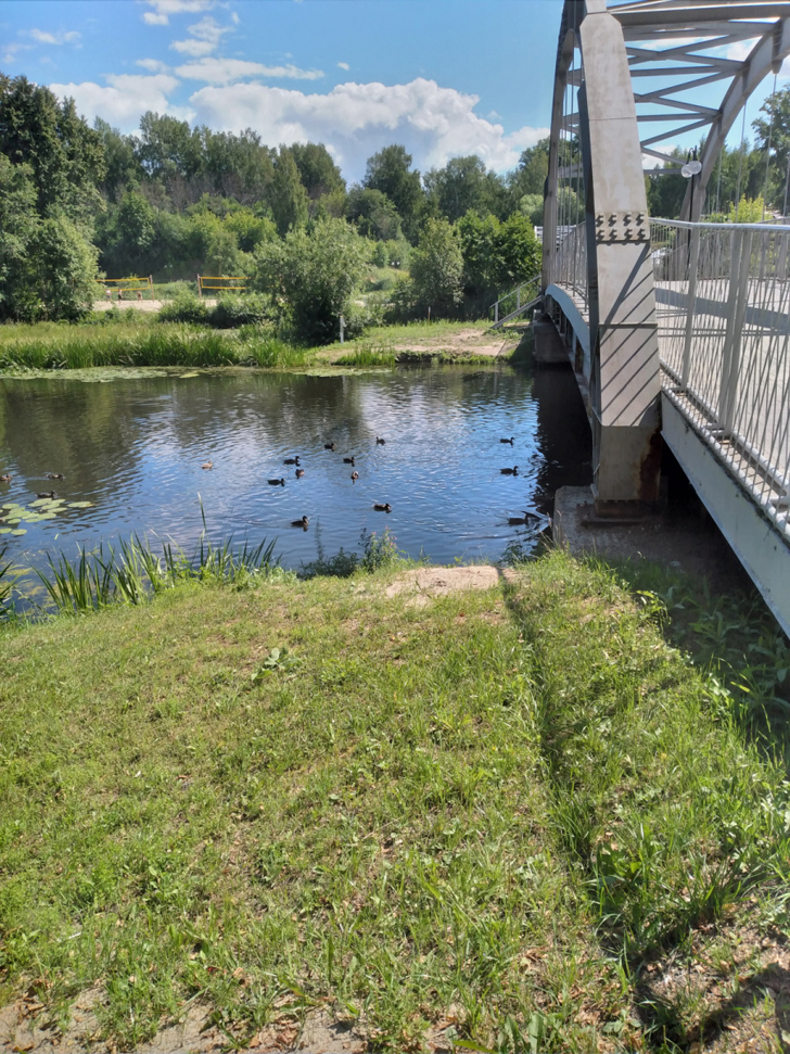 г.Клин, река Сестра, Сестрорецкий парк (фото из архива сайта infoce-klin.ru, июль, 2022)