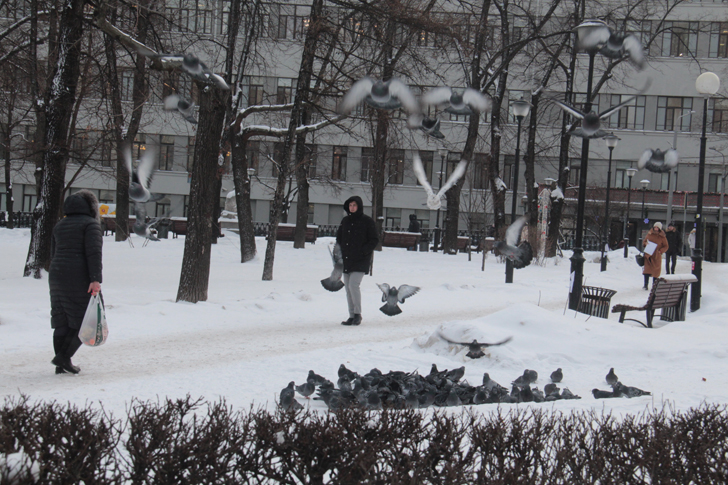 Зимняя Москва (фото В.Кузьмин, декабрь, 2021)