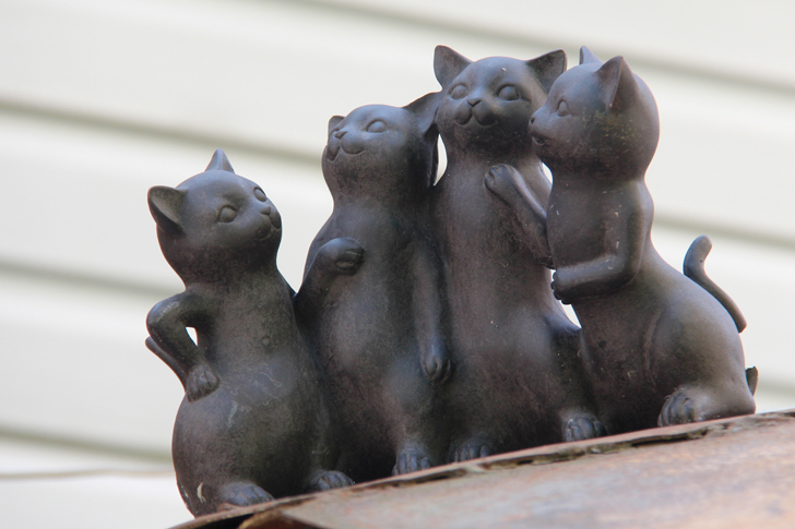 г.Тверь (фото В.Кузьмин, июнь, 2022)