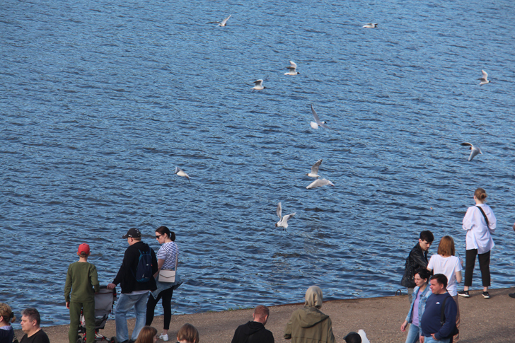 г.Тверь (фото В.Кузьмин, июнь, 2022)