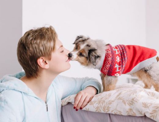 10 ошибок владельцев щенков: как вырастить здоровую и воспитанную собаку