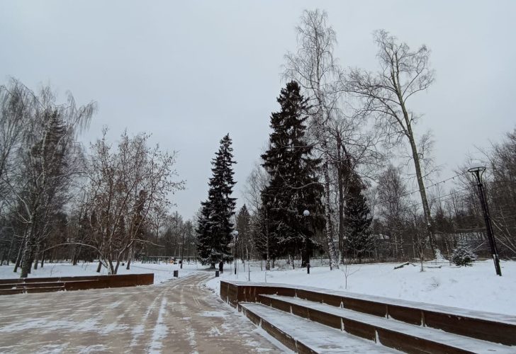 Высоковский городской парк «Берёзовый» (фото из архива В.Молодцовой, ноябрь, 2023)