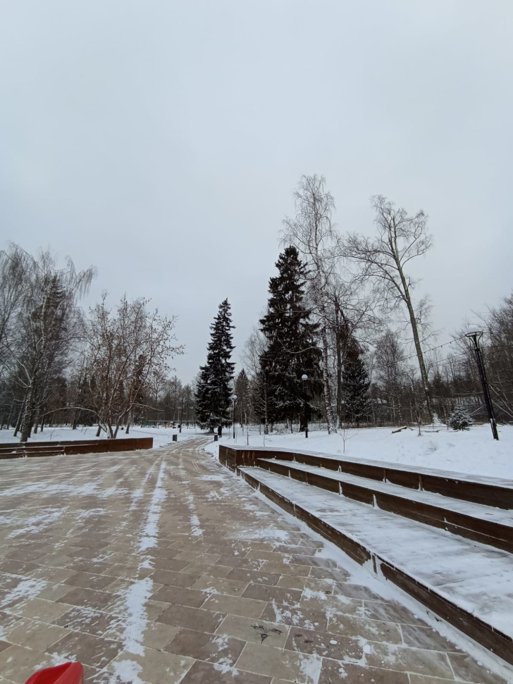 Высоковский городской парк «Берёзовый» (фото из архива В.Молодцовой, ноябрь, 2023)