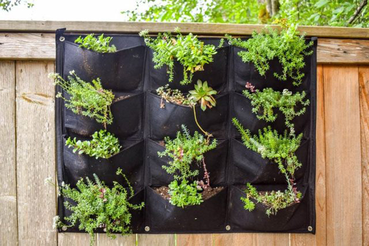 Вы можете выращивать травы и листовую зелень в подвесных органайзерах для обуви с карманами. © thespruce