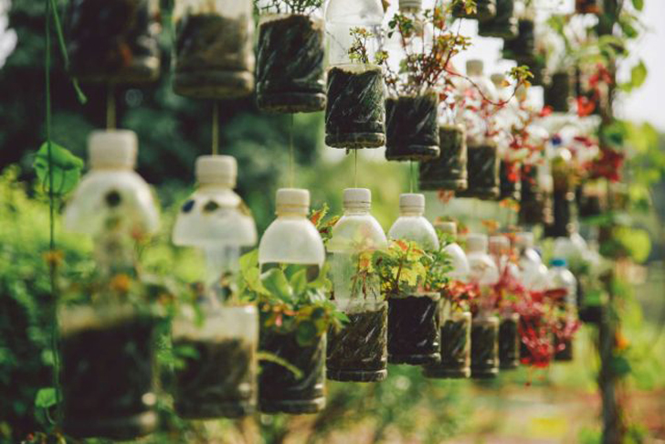 Вы можете превратить пустые бутылки из-под газировки в вертикальный сад, используя простые подручные инструменты. © treehugger