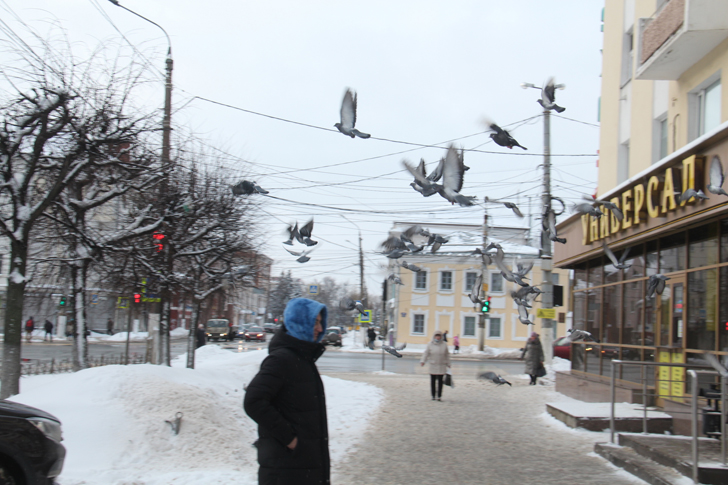 г.Тверь (фото В.Кузьмин, февраль, 2022)