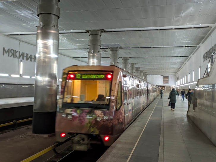 Тематический поезд метро «Акварель» с картинами в каждом вагоне (фото Олег Д., январь, 2024)