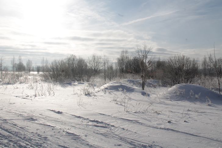 Природа города Клин (фото В.Кузьмин, январь, 2024)