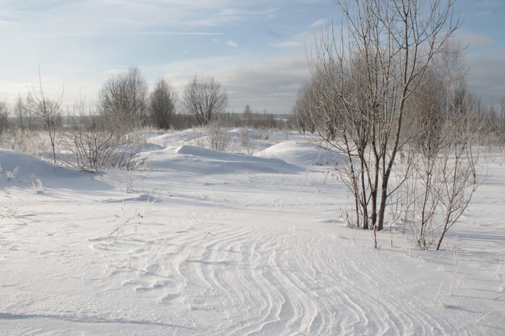 Природа города Клин (фото В.Кузьмин, январь, 2024)