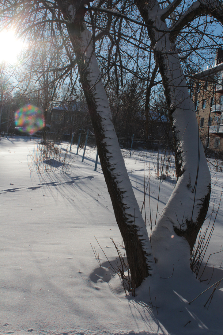 г.Клин, Бородинский проезд (Фото В.Кузьмин, январь, 2024)